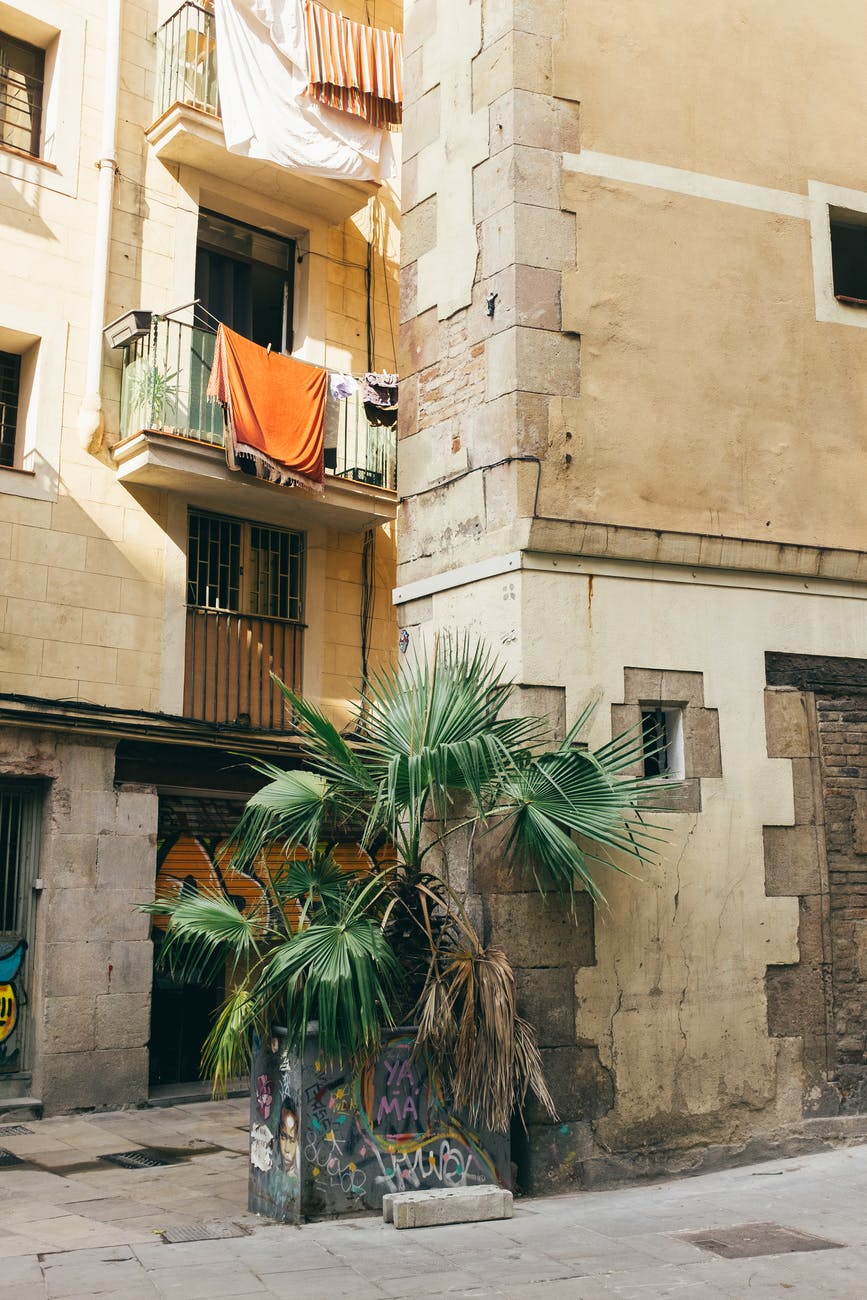 green palm tree near beige concrete building